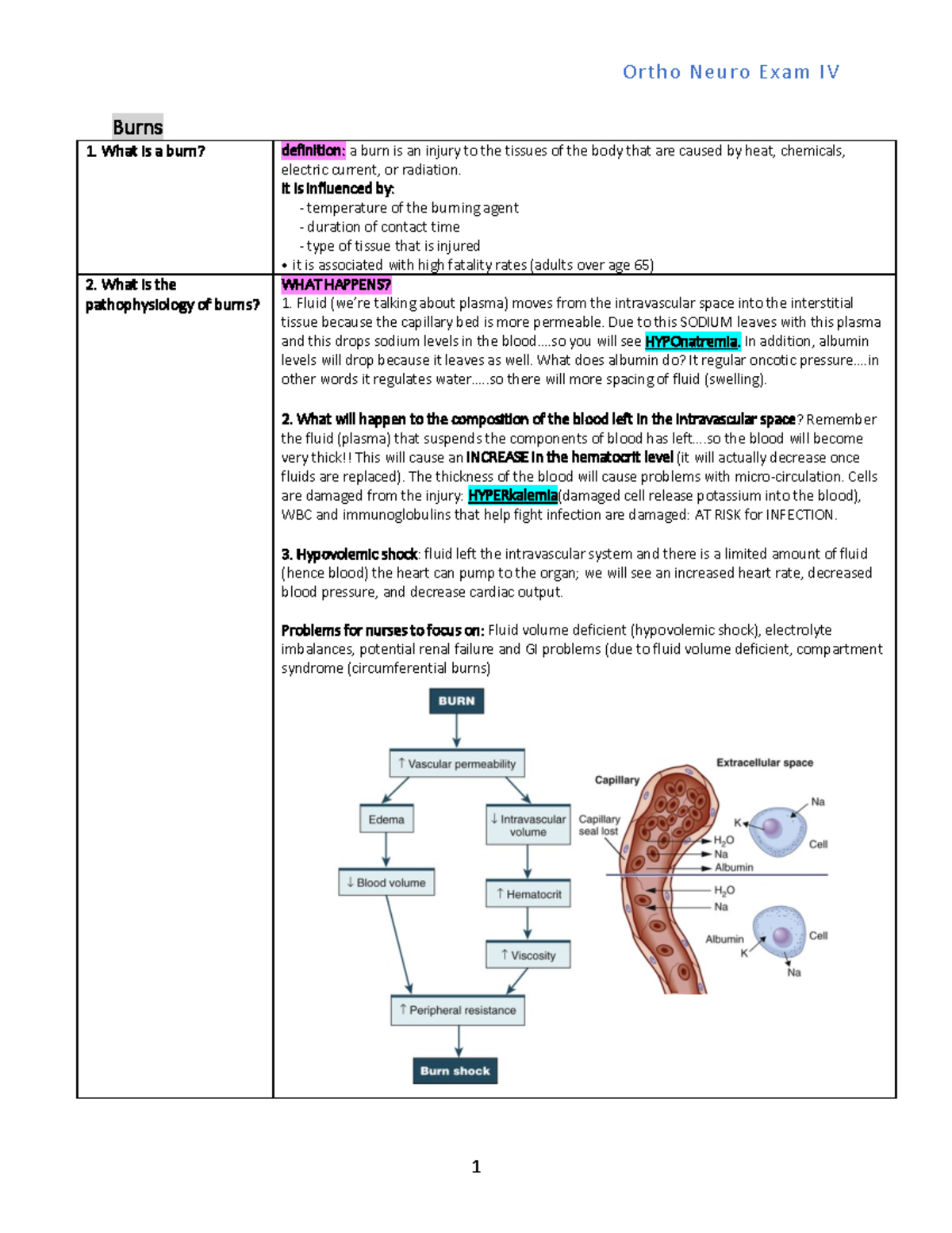 Ortho. Exam 4: Comprehensive Burns Outline and Management Strategies ...