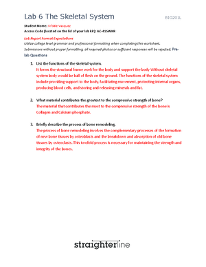 Lab 7: The Muscular System - BIO201L Lab Report - Studocu