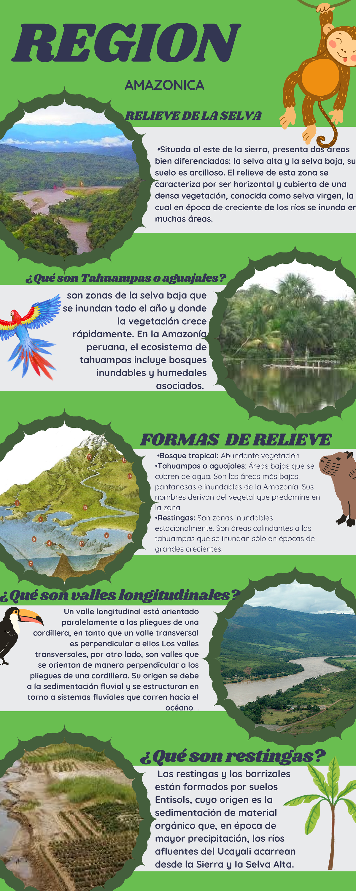 Infografía de Relieve y Ecosistemas en la Amazonía Peruana - Document Preview