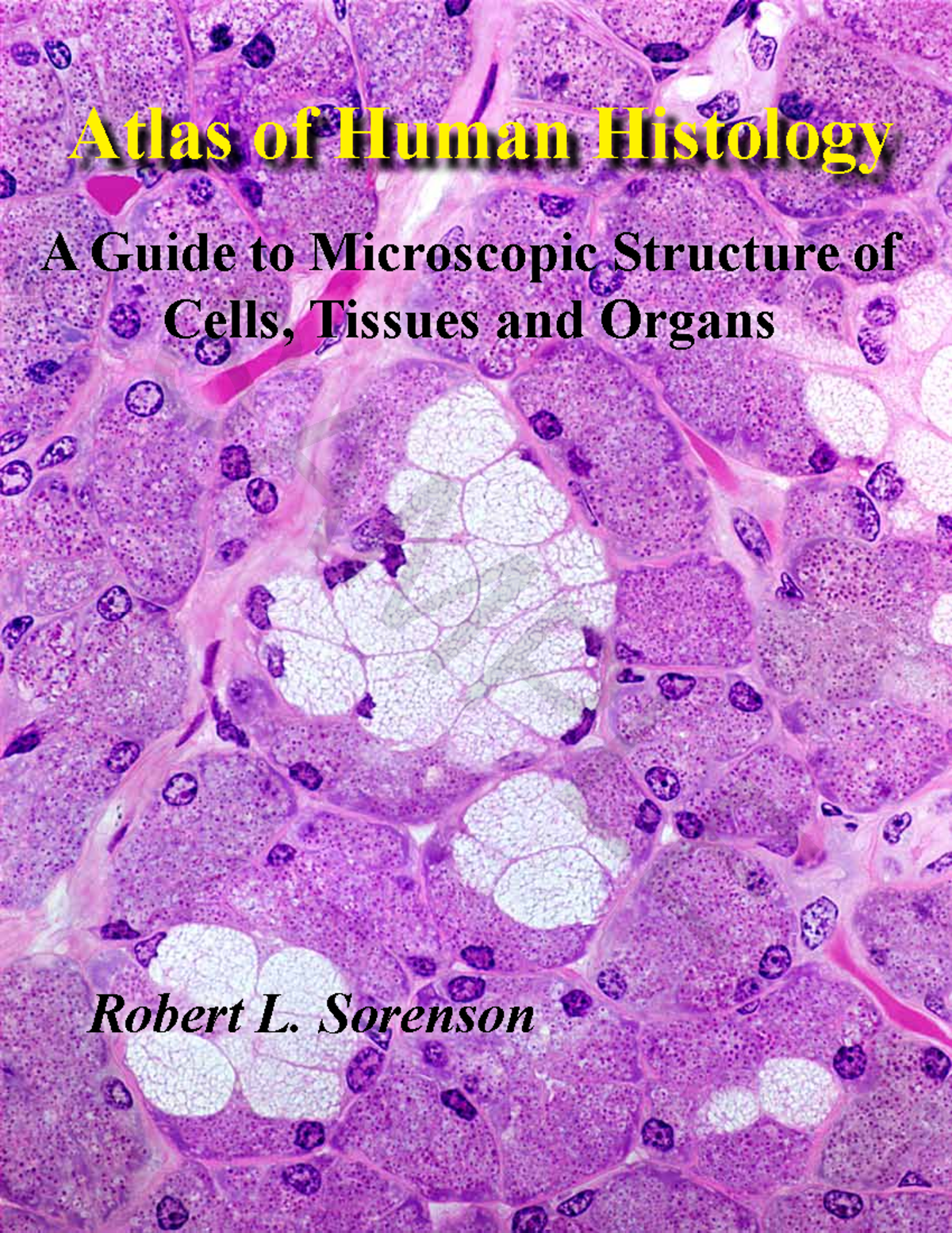 Atlas of Human Histology: A Comprehensive Guide to Tissues and Cells ...