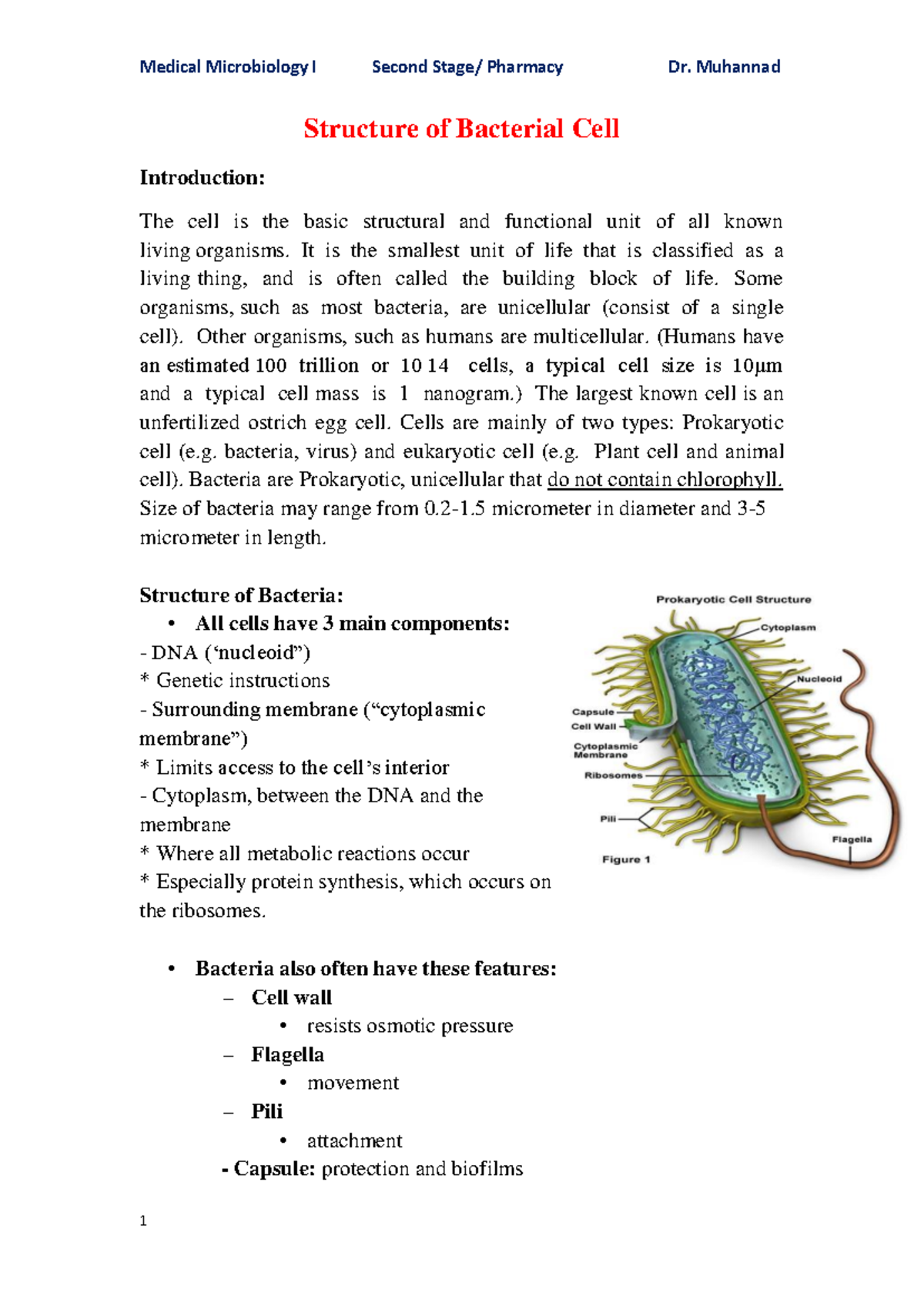 Medical Microbiology I: Structure and Function of Bacterial Cells - Studocu