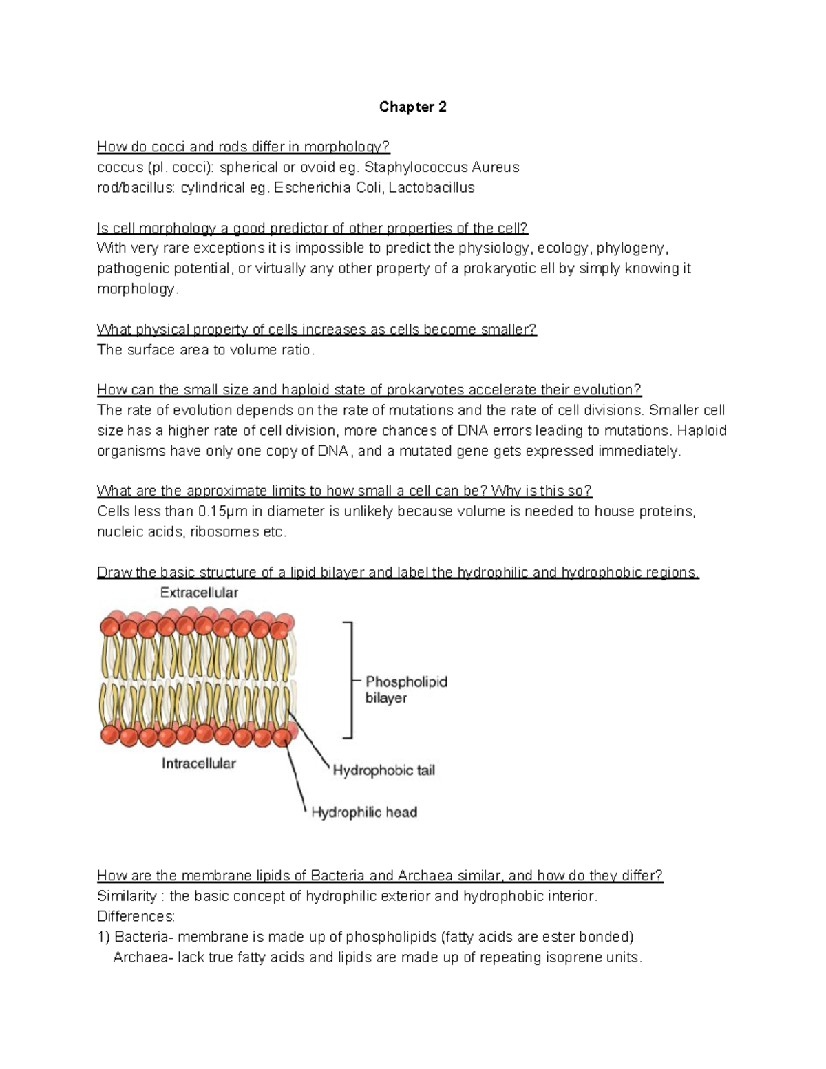 Microbiology (BIO 101) Chapter 2 Quiz: Questions & Answers - Studocu