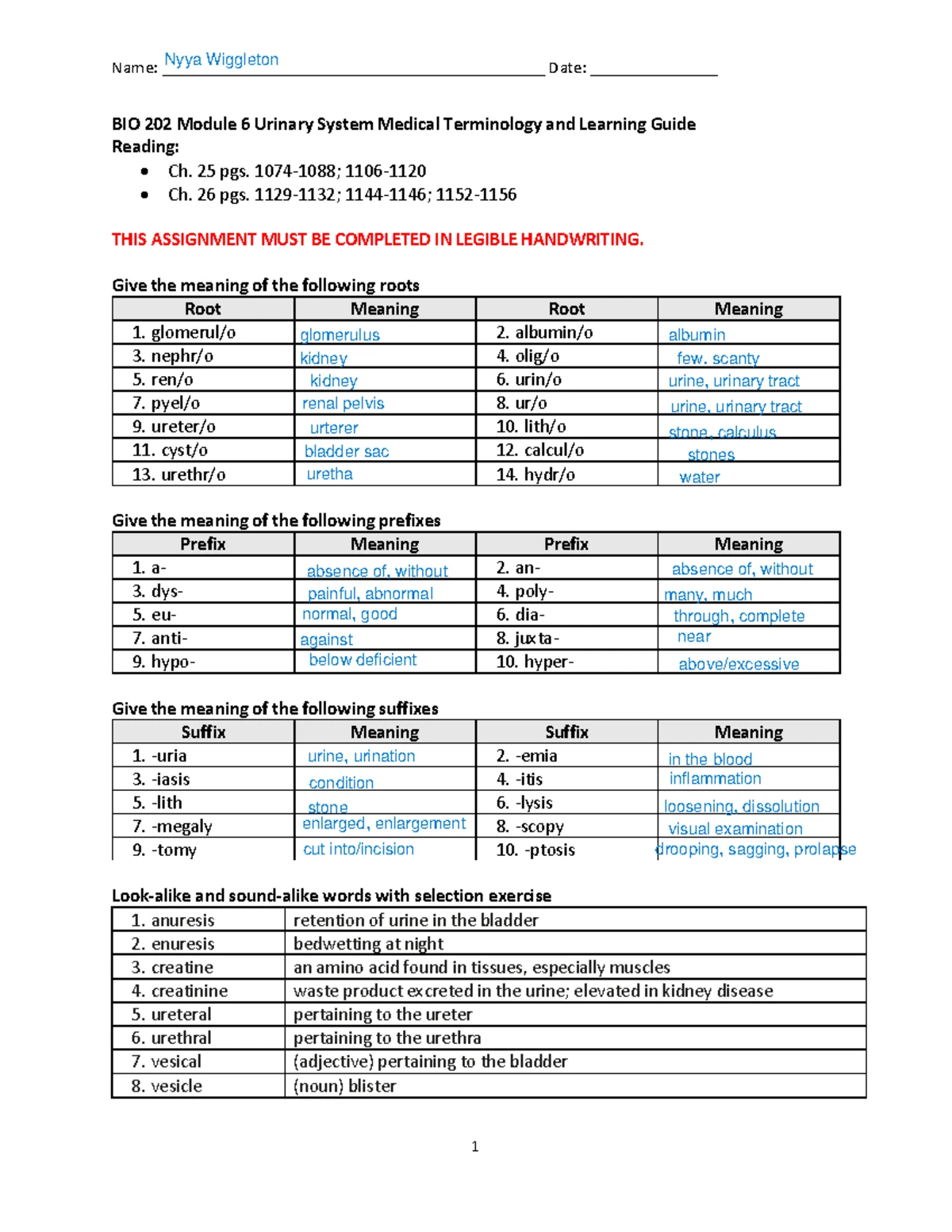 BIO 202 Module 5 Final Exam Learning Guide: Digestive System Terms ...