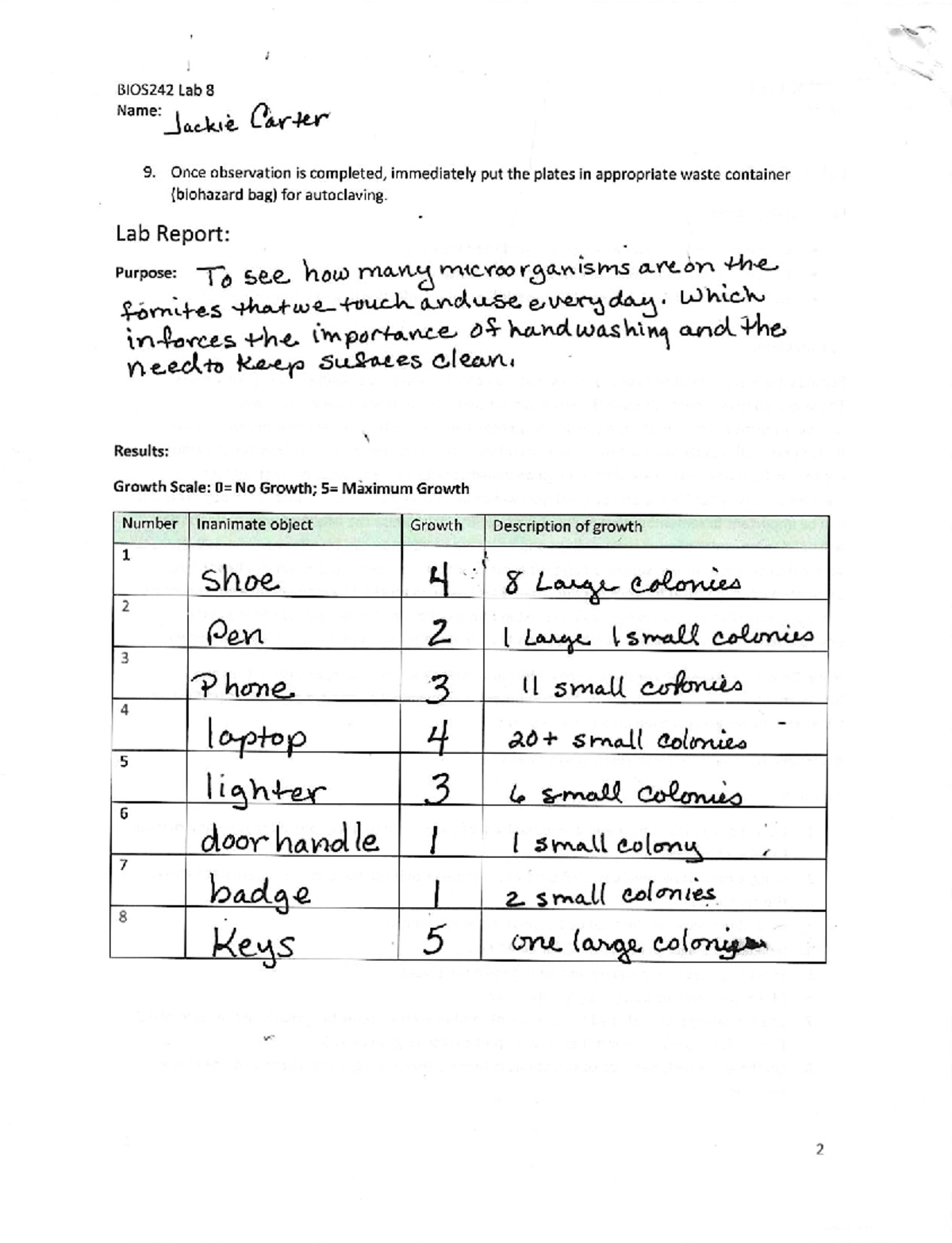 Midterm Study Guide for Biology 101: Key Concepts & Review Tips ...