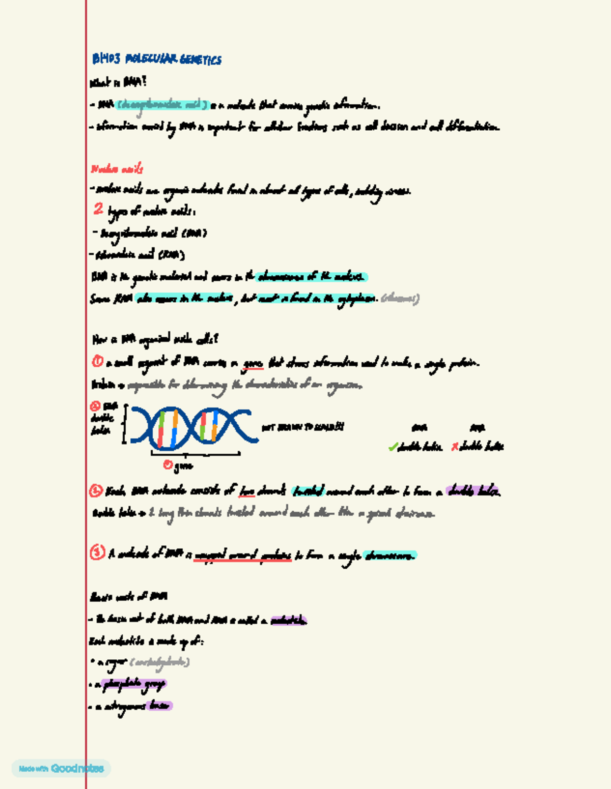 B1403 MOLECULAR GENETICS: Understanding DNA Structure and Function ...