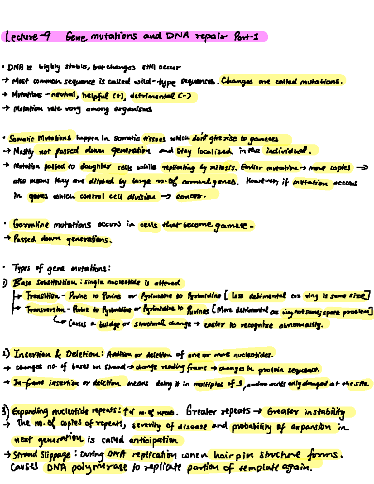 Lecture Notes on Gene Mutations and DNA Repair (BIO 101) - Studocu