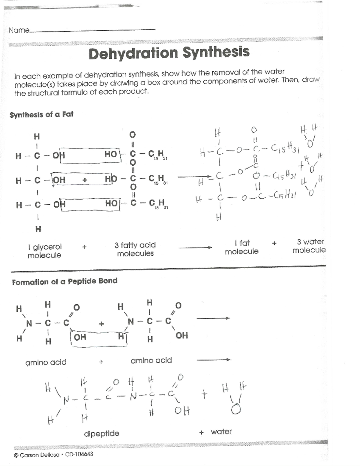 Hydration Worksheet: Understanding Water Intake and Balance - Studocu
