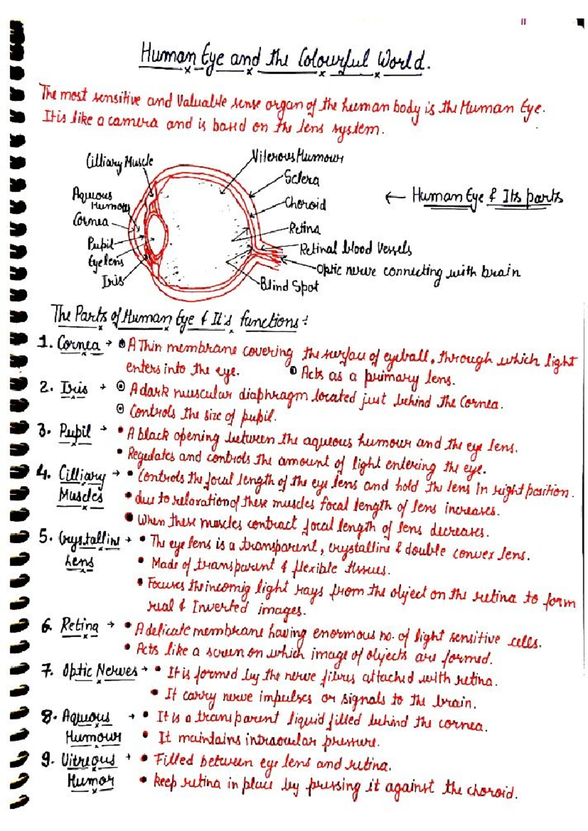 II Human Eye and the Colorful World: Comprehensive Study Notes - Studocu