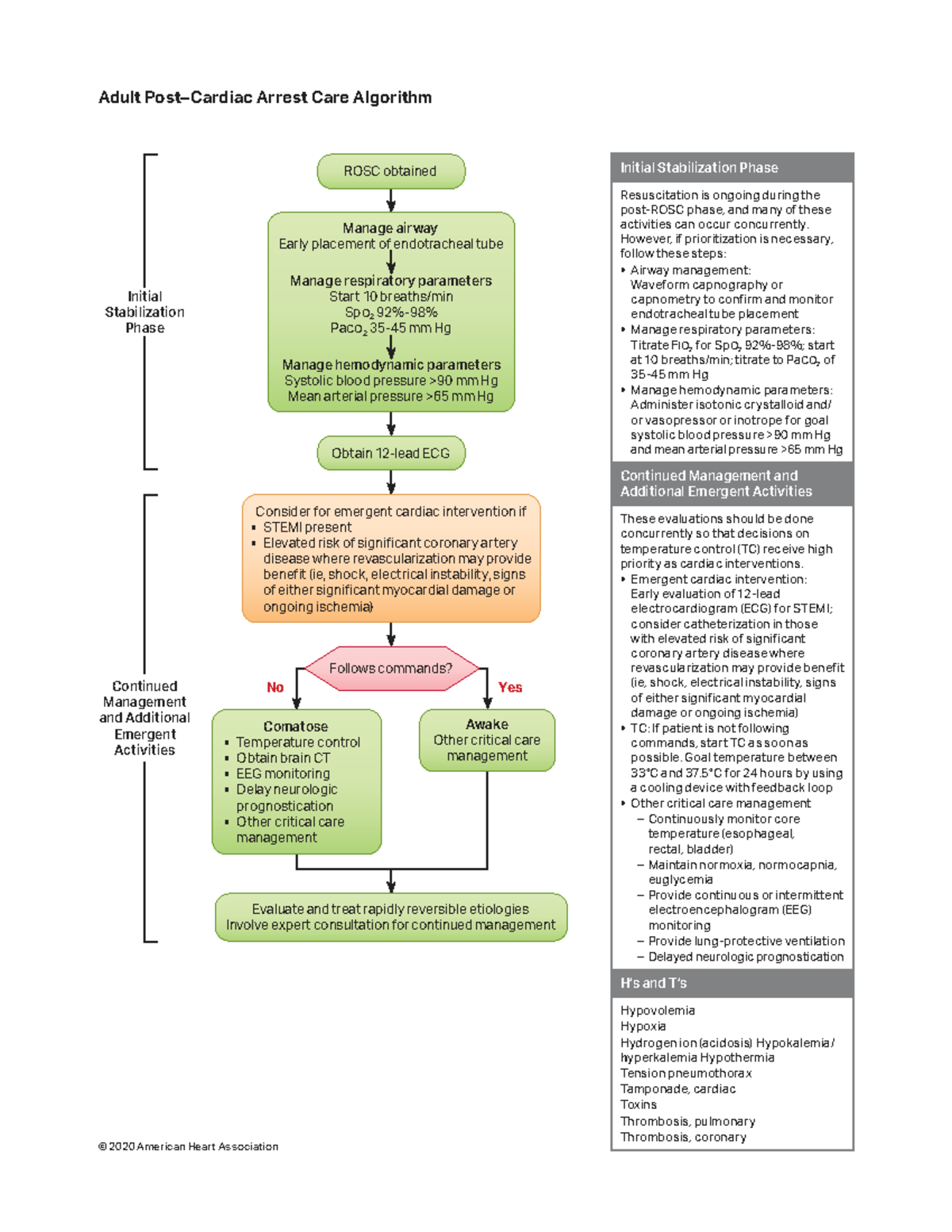 PCAC - Adult Arrest Care Algorithm: Initial Stabilization Phase - Studocu