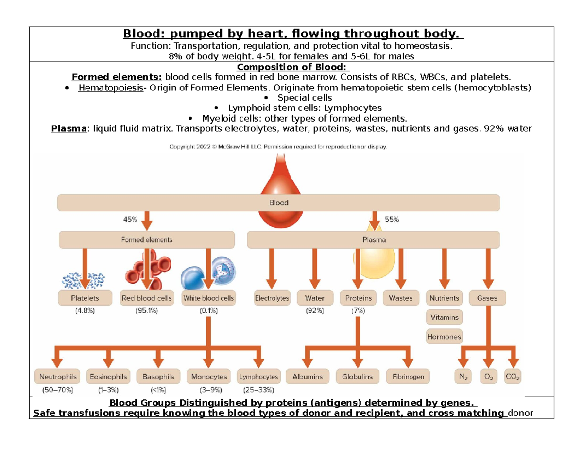 Blood Study Guide: Key Concepts on Composition, Functions, and Cell ...