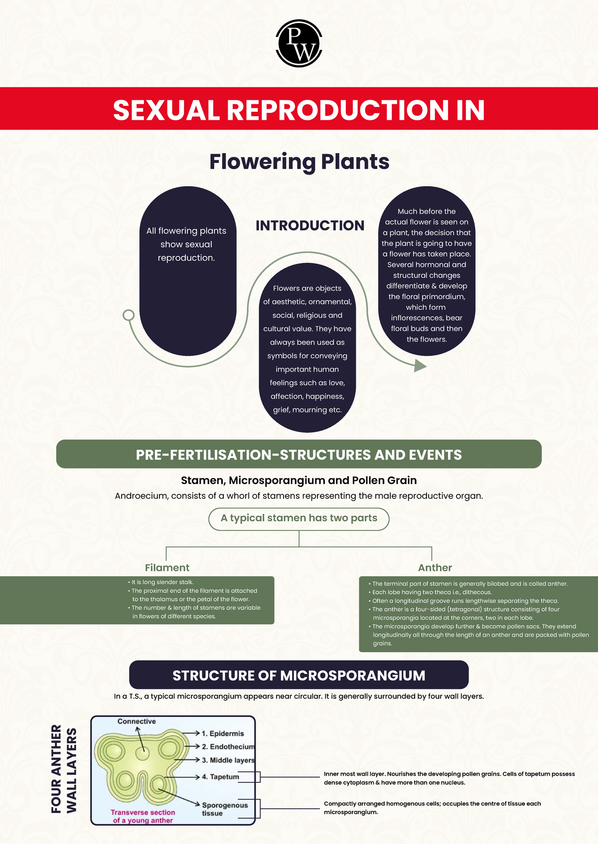 SEXUAL REPRODUCTION IN FLOWERING PLANTS: A Comprehensive Study - Studocu