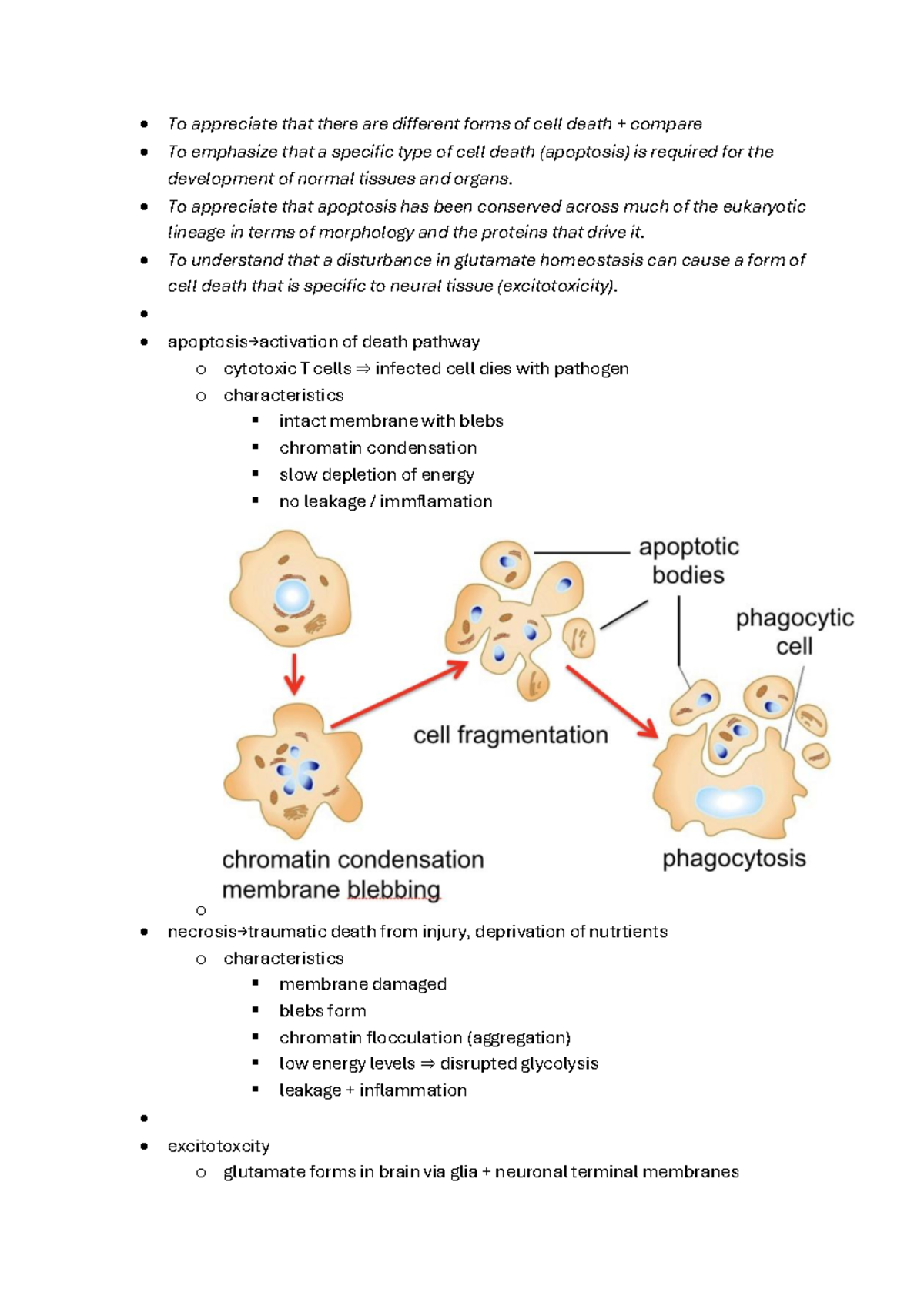 Apoptosis and Cell Death Mechanisms: A Comprehensive Study (BIO 101 ...