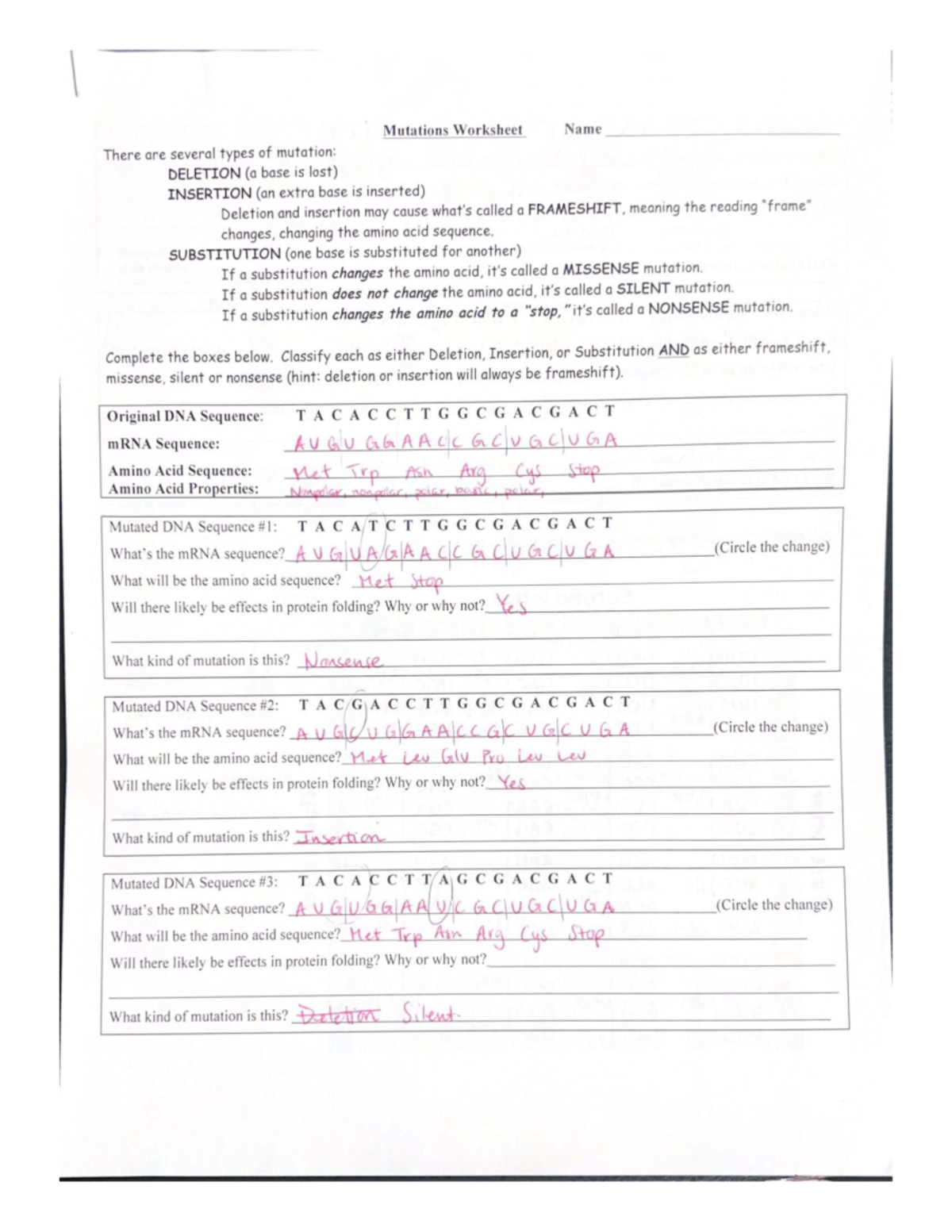 Mutations Worksheet: Types & Effects of Genetic Mutations - Studocu