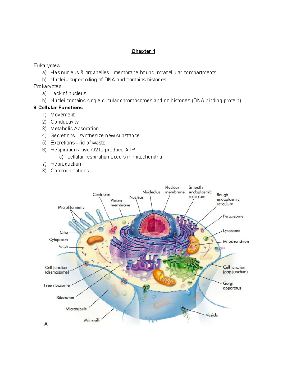 Final Study Guide for Clinical Pathophysiology (NURS 302) - Spring 2025 ...
