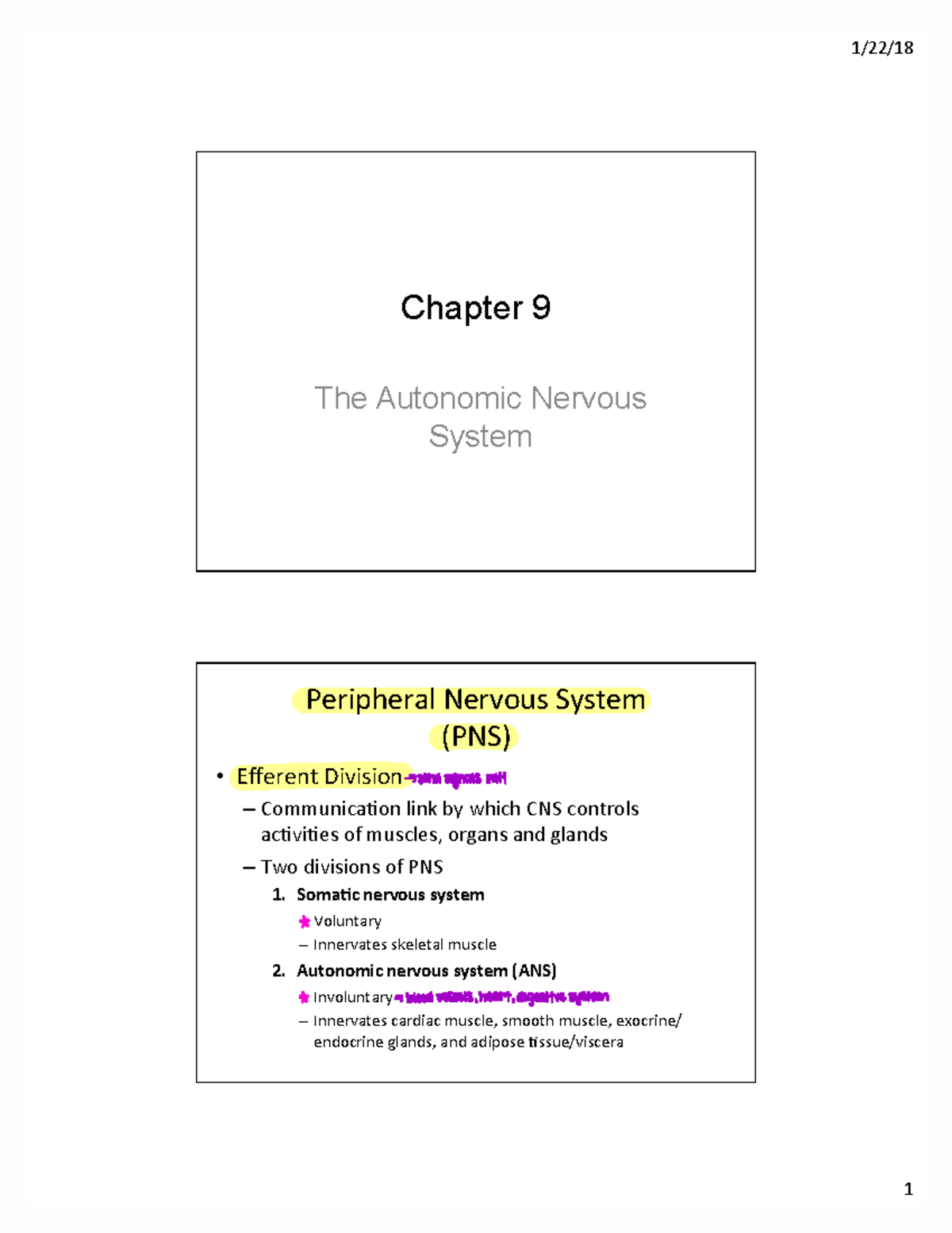 Fundamentals - slides - Chapter 9 The Autonomic Nervous System ...