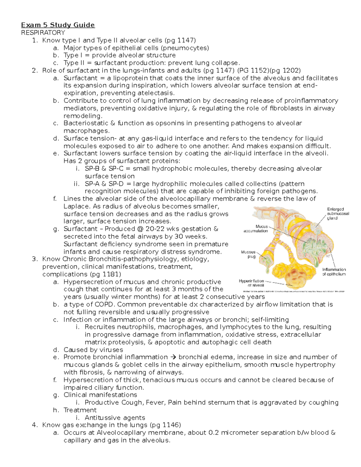 Respiratory Exam 5 Study Guide: Key Concepts & Clinical Insights - Studocu
