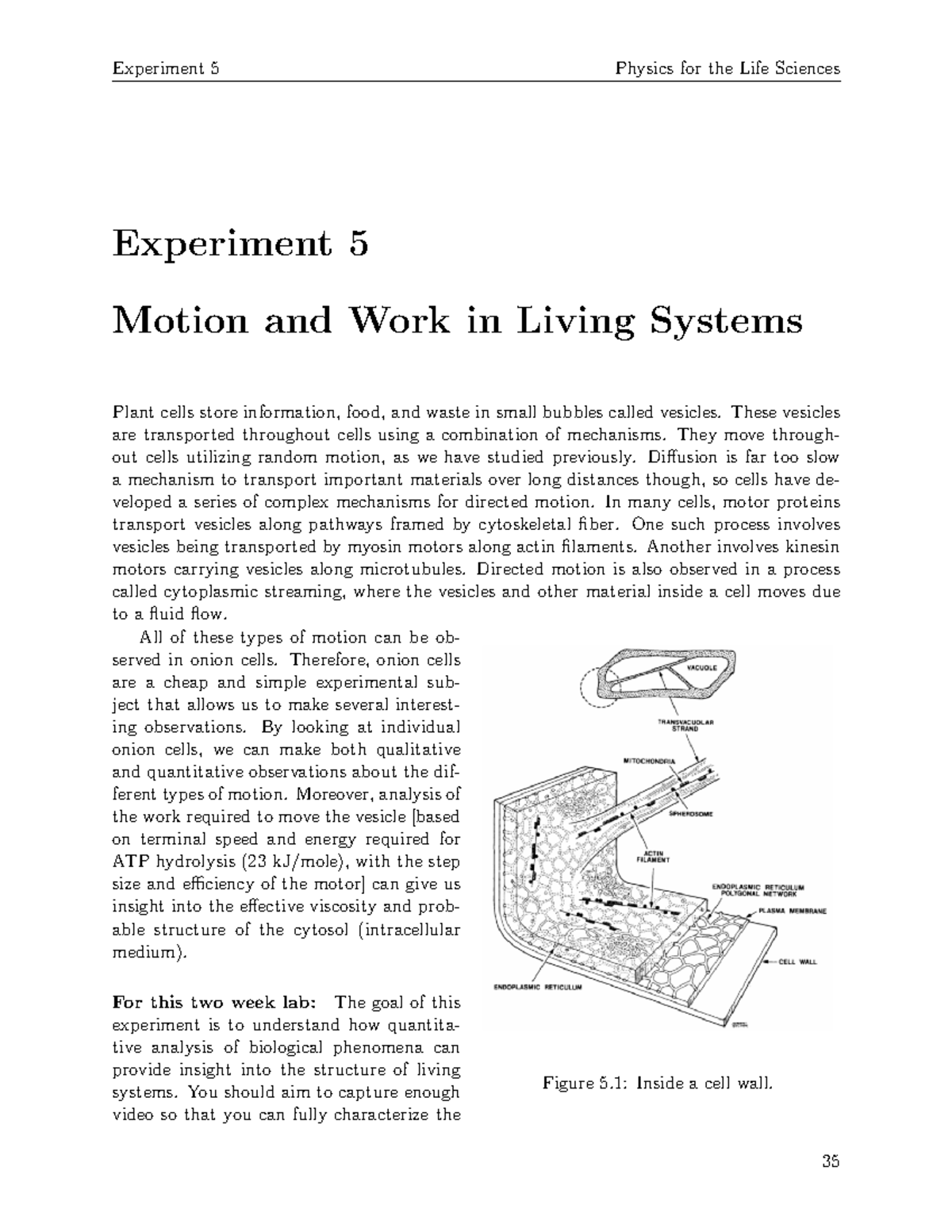 Experiment 5: Motion and Work in Living Systems - Physics for Life ...