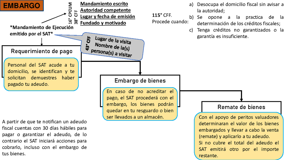 Procedimiento Adimistrativo de Ejecución - Requerimiento de pago