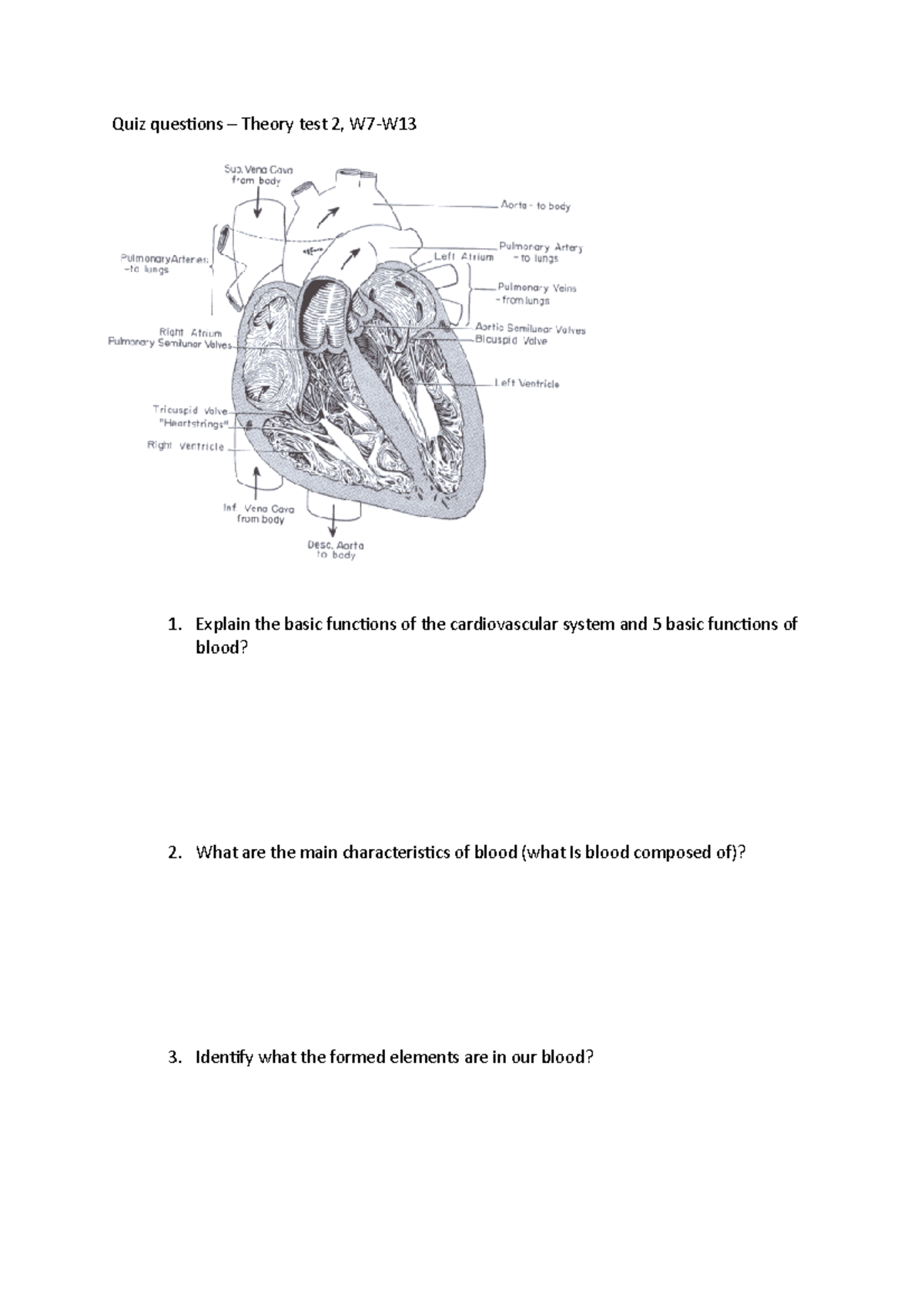 Quiz Questions - Cardiovascular System & Blood Functions (W7-W) - Studocu