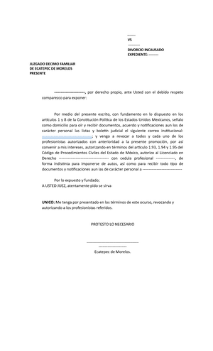 Escrito DE Alegatos DE LA Parte Actora - ESCRITO DE ALEGATOS DE LA ...