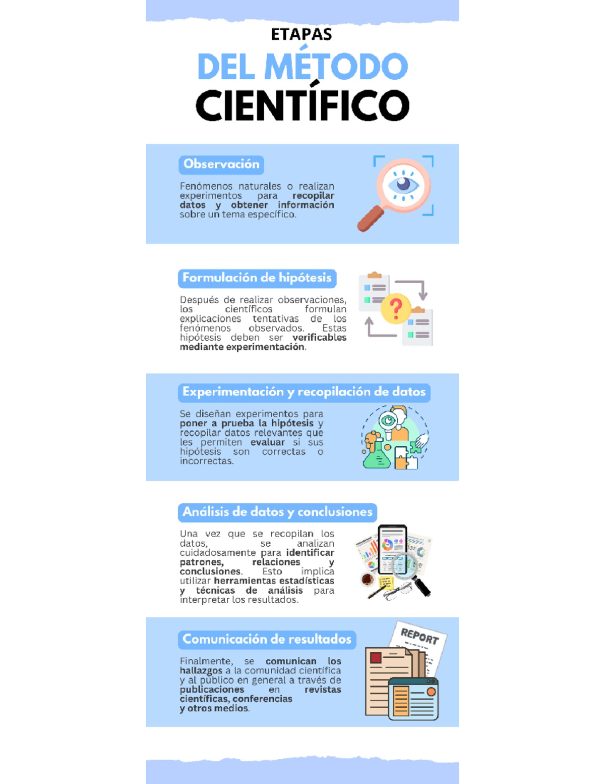Etapas del Método Científico - ETAPAS DEL METODO CIENTIFICO Observación ...