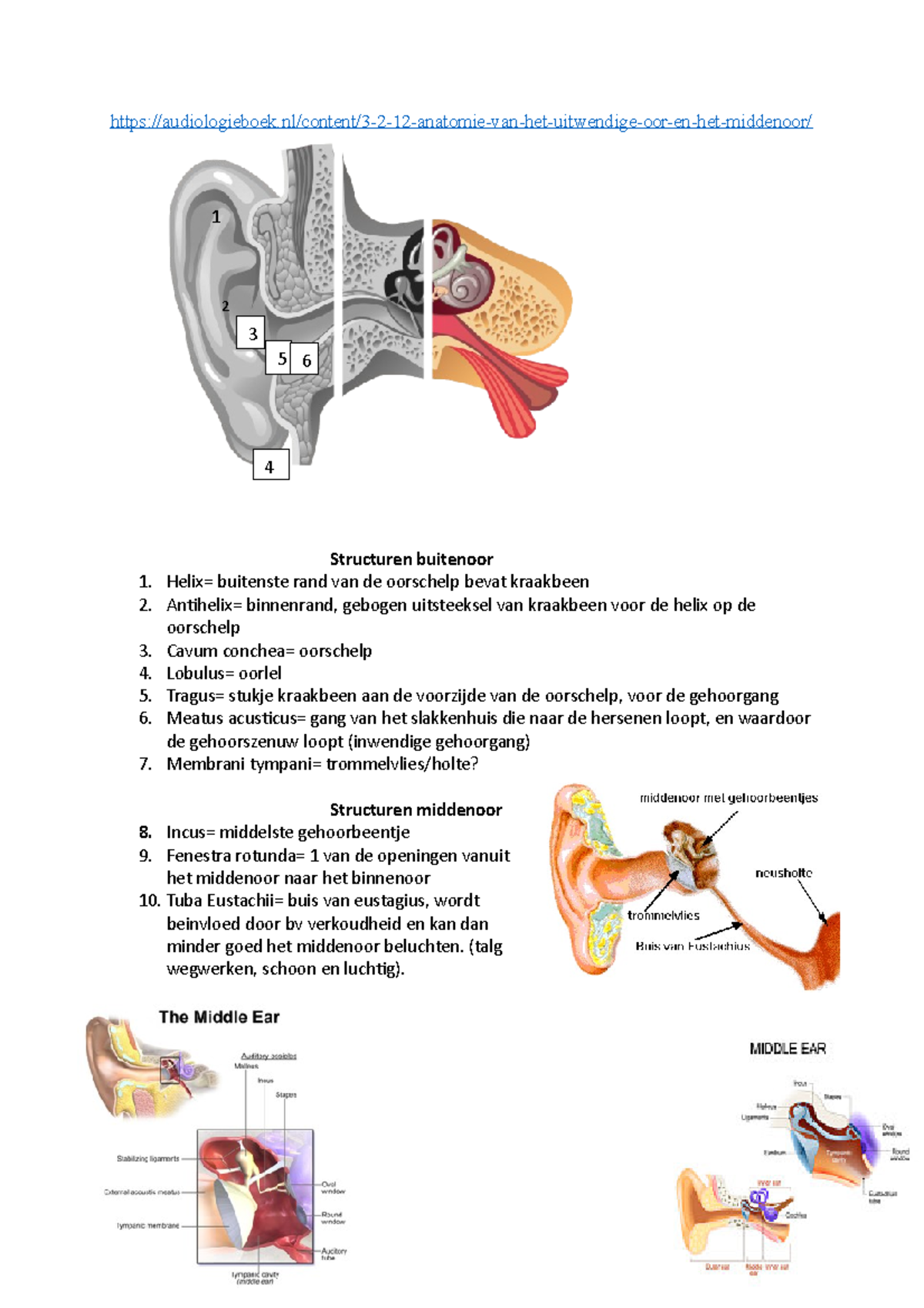 Wk 1 Opd 1.2: Anatomie van het Buiten-, Midden- en Binnenoor - Studeersnel