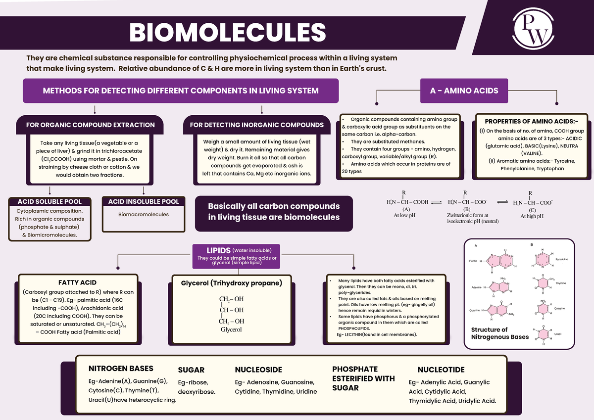 BIOMOLECULES: Structure, Functions, and Detection Methods (BIO101 ...