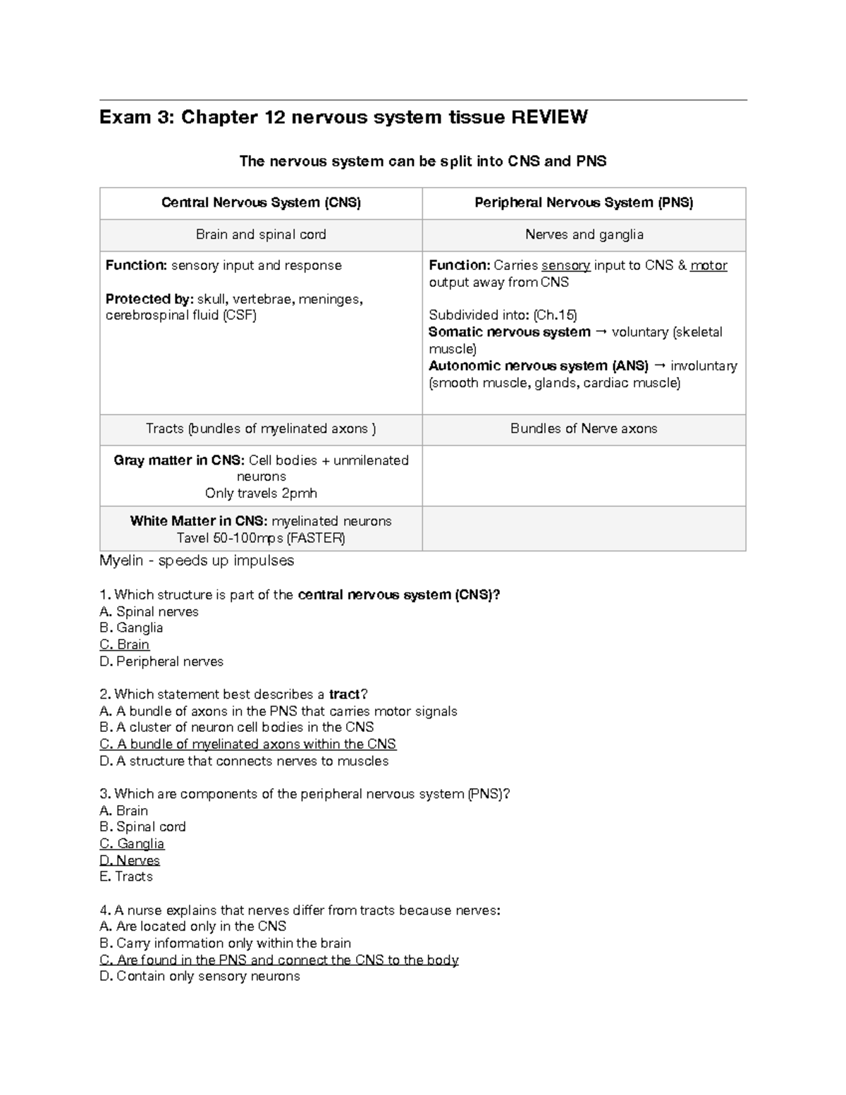 Exam 3: Chapter 12 Nervous System Tissue Review Notes - Studocu