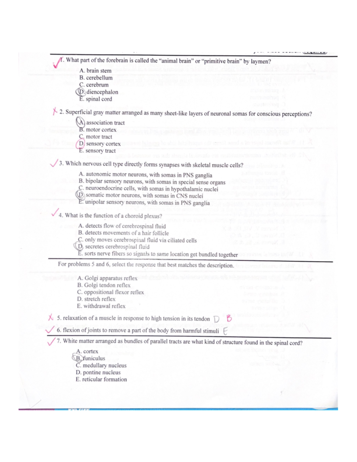 Bio 210 Practice Questions and Answers for Neuroanatomy Exam - Studocu