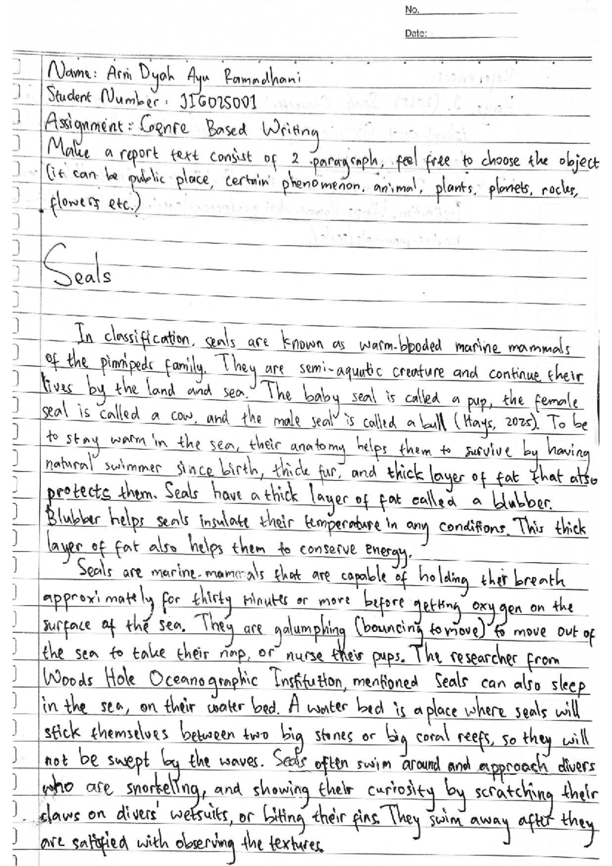 Assignment Report: Seals - Marine Mammals of the Pinnipeds Family ...