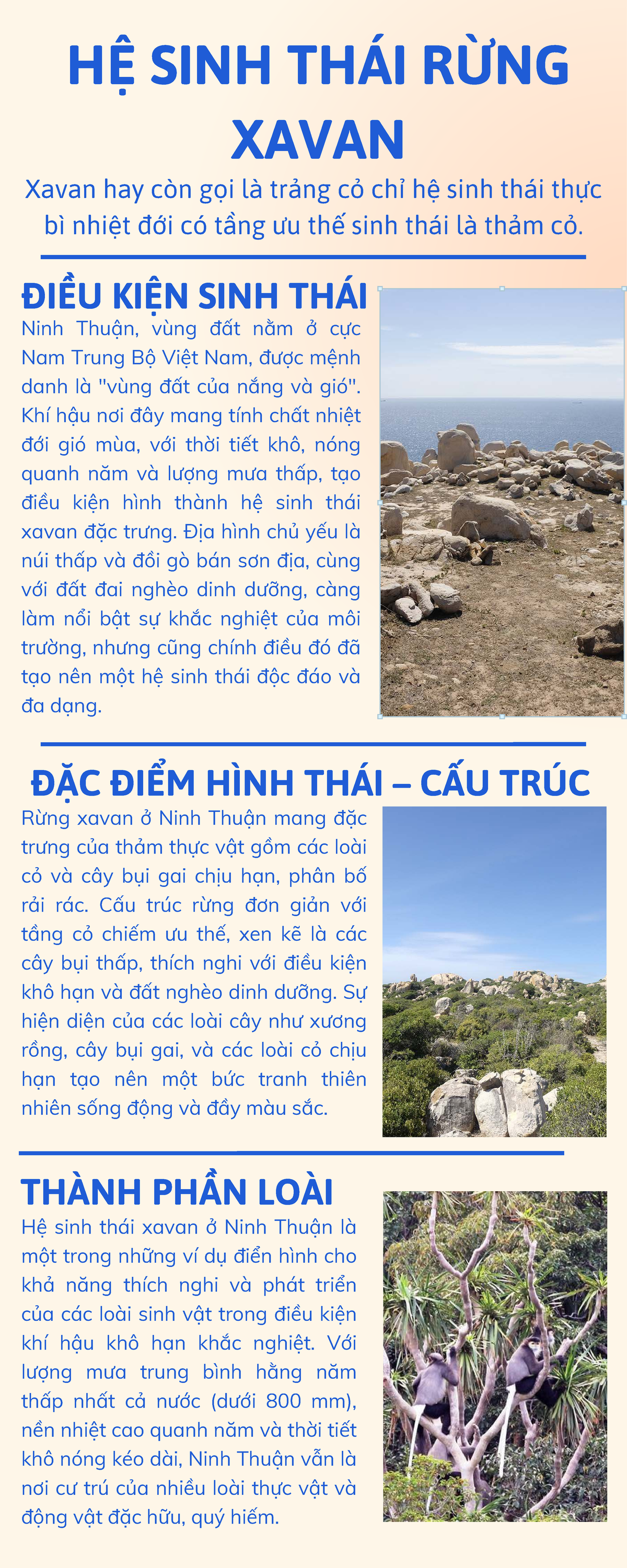 Hệ Sinh Thái Rừng Xavan Ninh Thuận: Đặc Điểm và Thành Phần Loài - Studocu