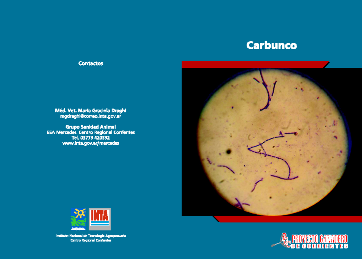 6-Carbunco: A Comprehensive Study of Pathology and Treatment - Studocu