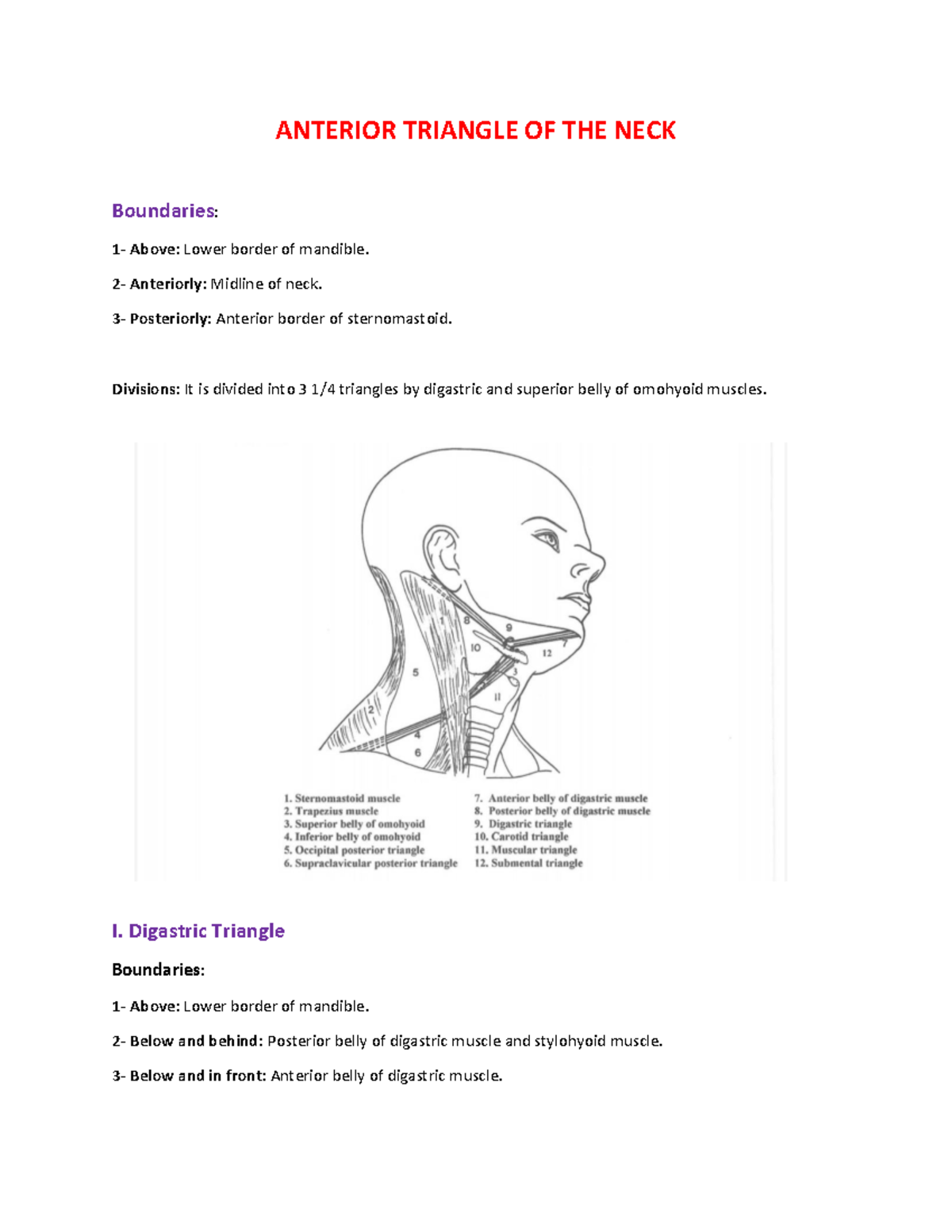 Anterior Triangle of the Neck: Boundaries and Key Structures - Studocu