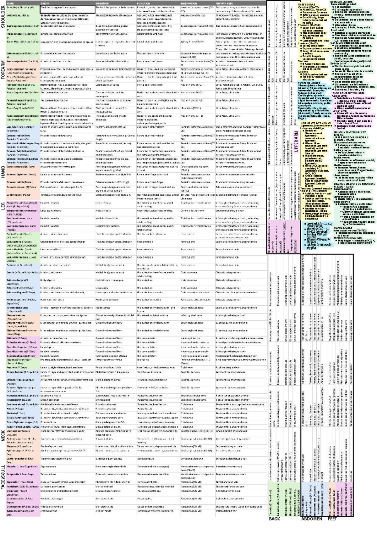 HUBS Final Exam Cheat Sheet: Synovial Joints & Nerve Supply - Studocu