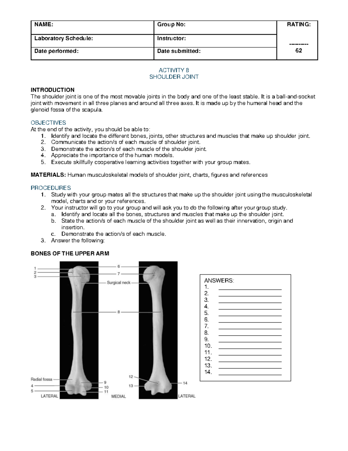 PTGANA1 Shoulder Joint Lab Activity Review and Performance Rubrics ...