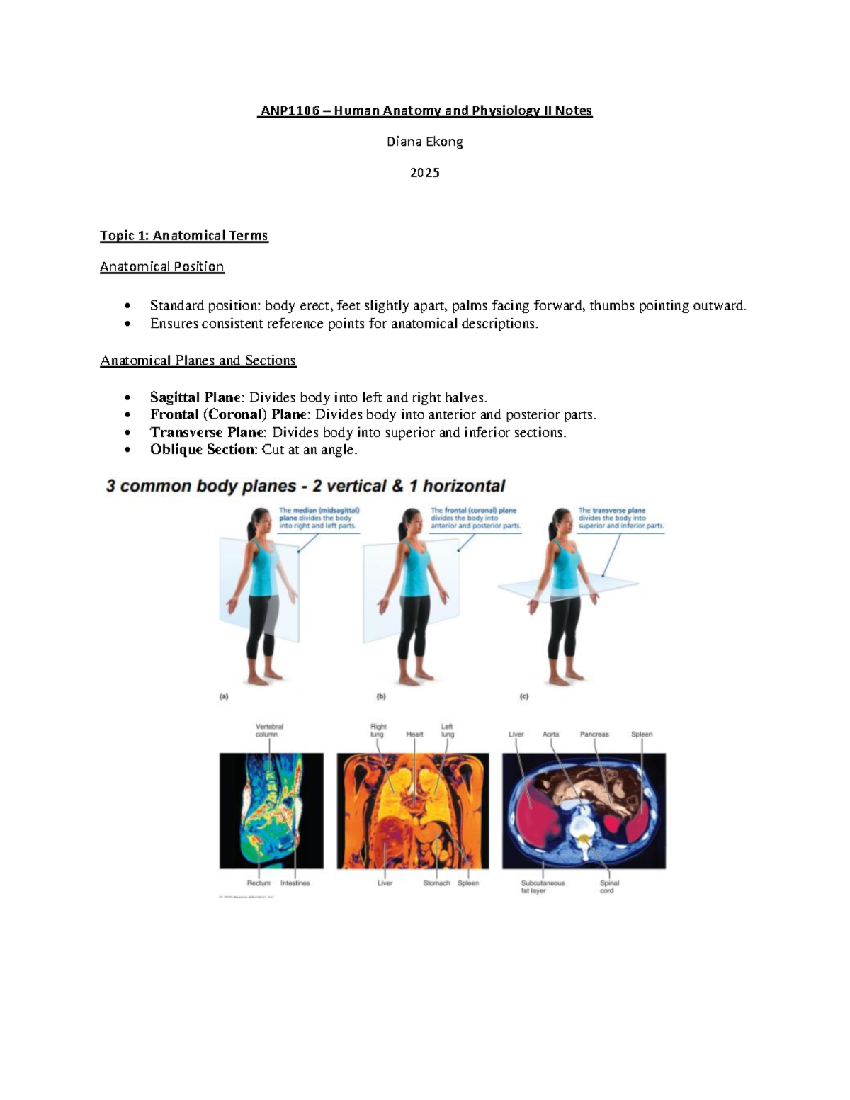ANP1106 Human Anatomy & Physiology II: Comprehensive Notes on Anatomy ...