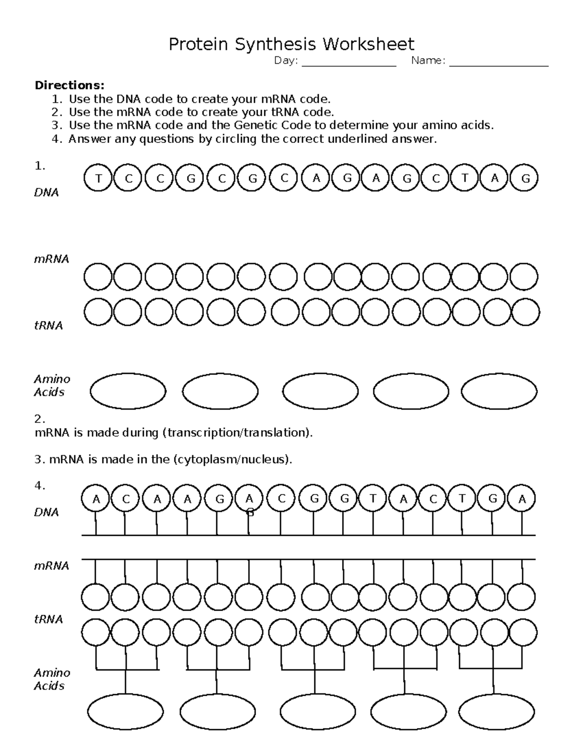 Protein Synthesis Worksheet for Biology Class: Final Exam Prep - Studocu