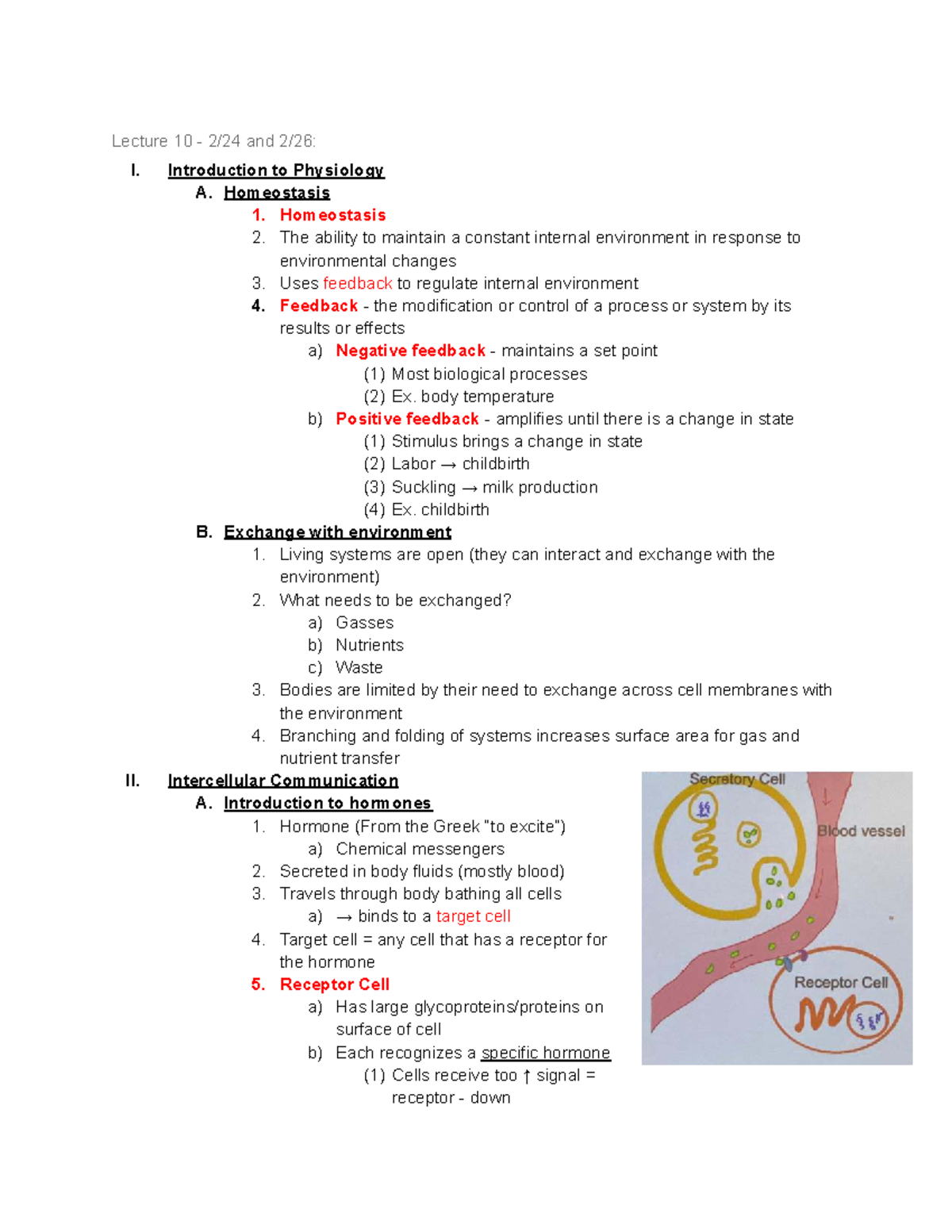 Gen Bio 116 Lecture Notes: Homeostasis & Endocrine System Overview ...