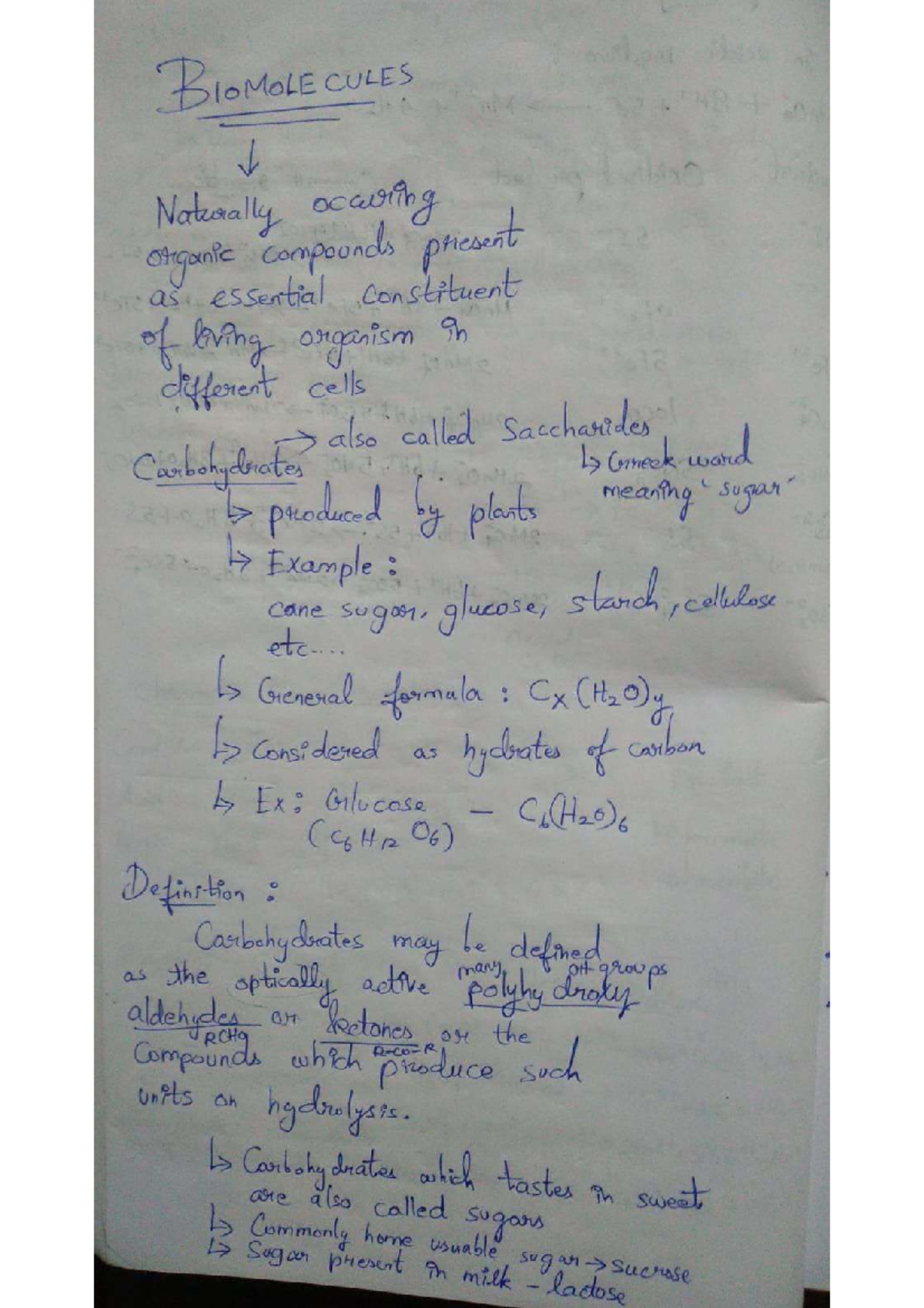 BIOMOLE 101: Comprehensive Notes on Carbohydrates and Proteins - Studocu