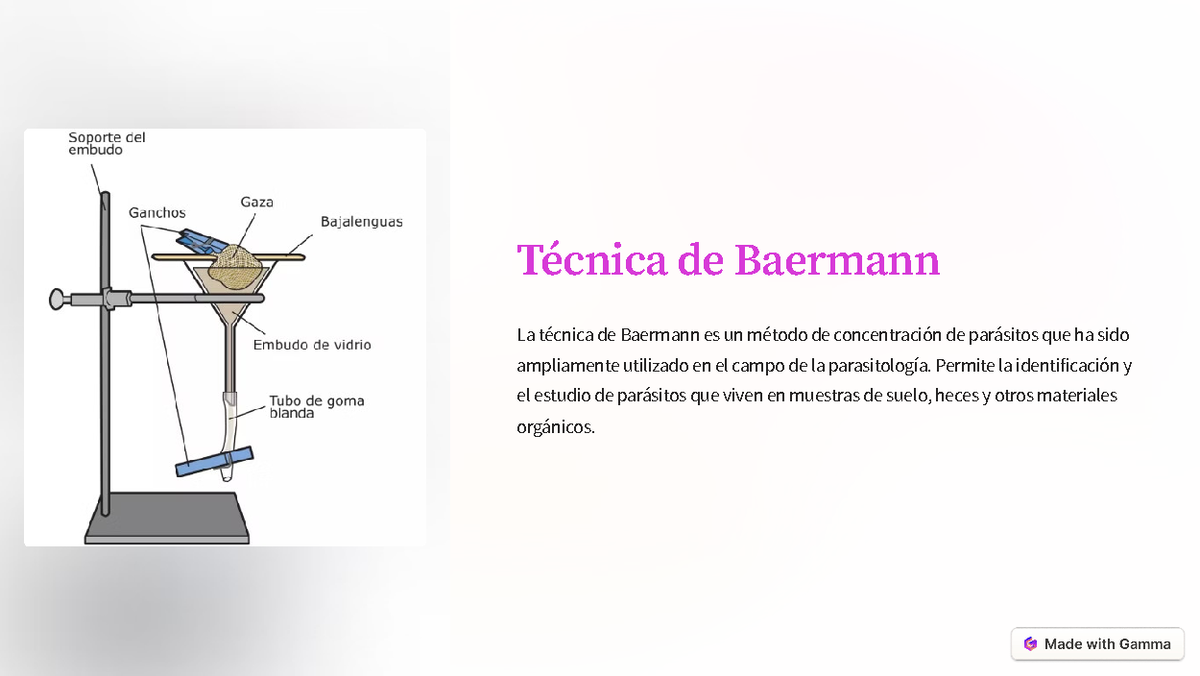 Presentación sobre la Técnica de Baermann en Parasitología - Studocu