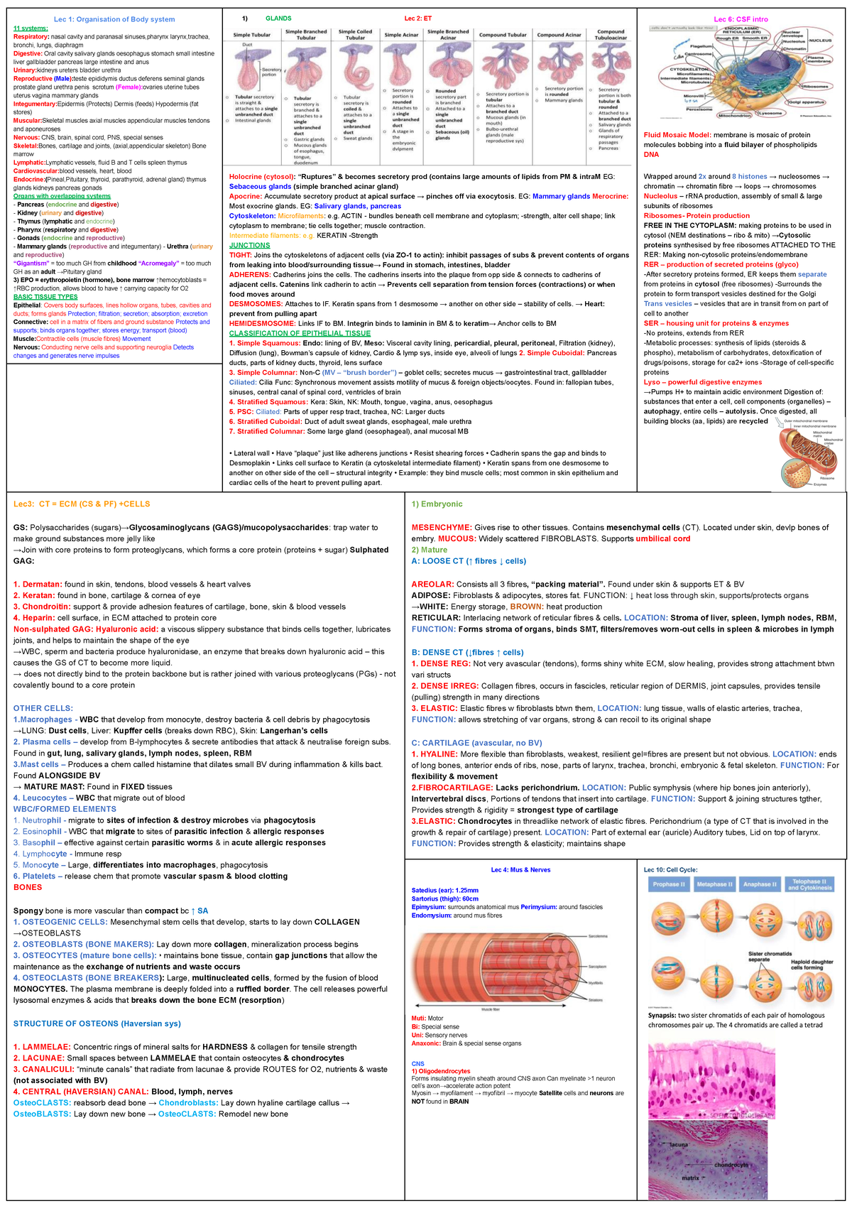 Biosci 107 cheat sheet - Lec 6: CSF intro Fluid Mosaic Model: membrane ...
