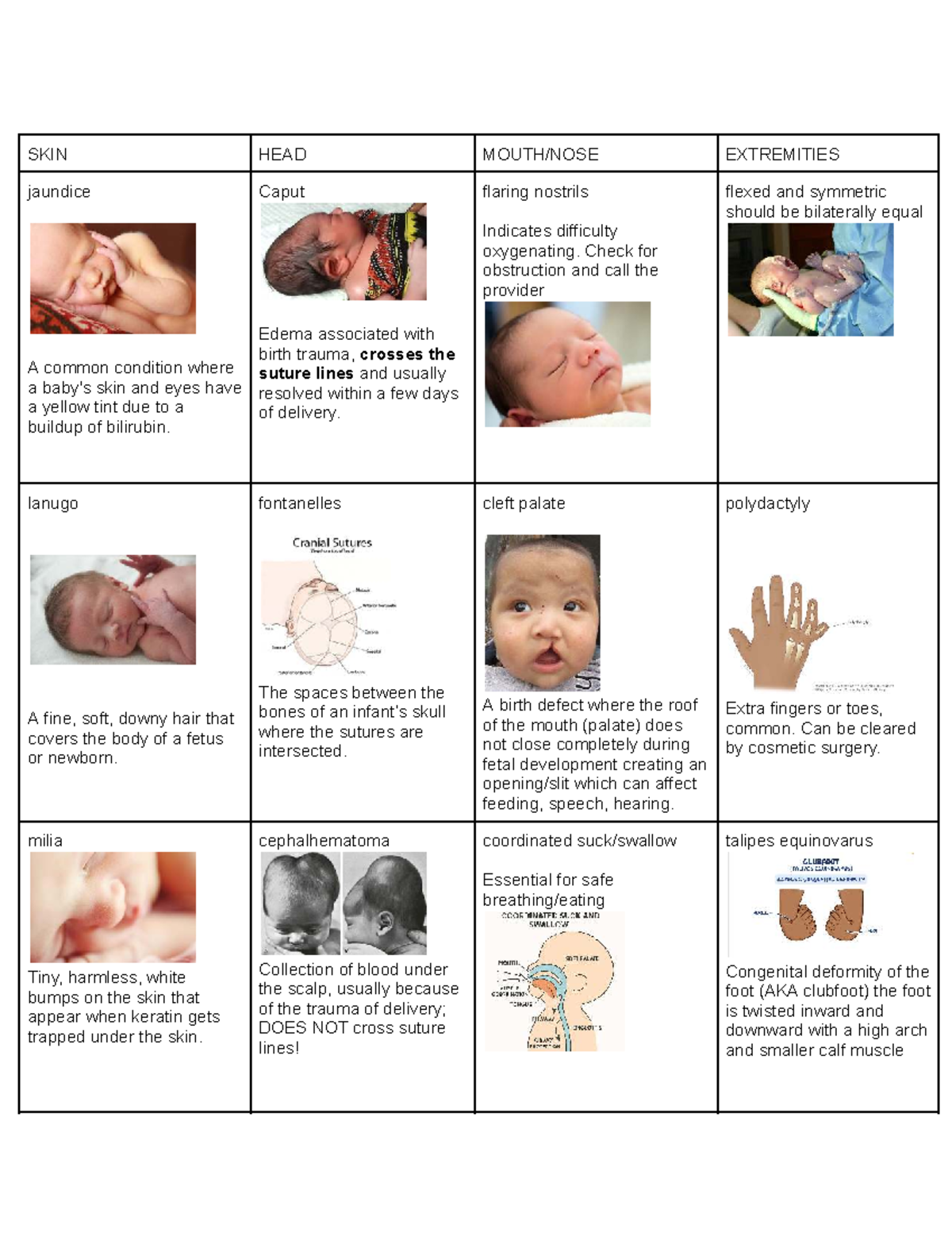 Newborn characteristics: KNOW FOR EXAM - SKIN HEAD MOUTH/NOSE ...