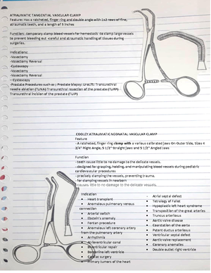Anatomy Exam Review: Axial Skeleton (Document-8) for Nursing - Studocu