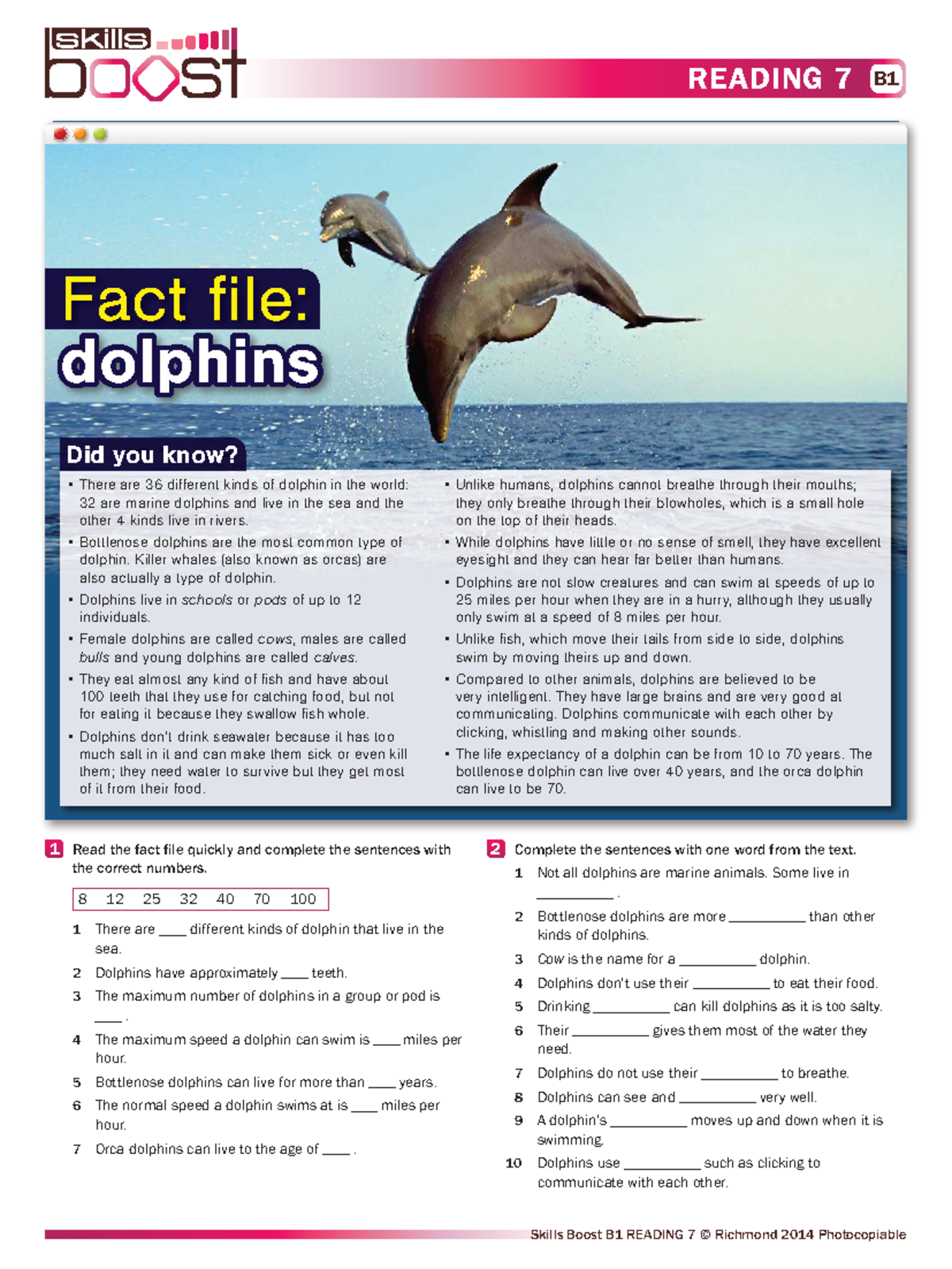 B1 Reading 7 - Fact File on Dolphins: Key Facts & Insights - Studocu