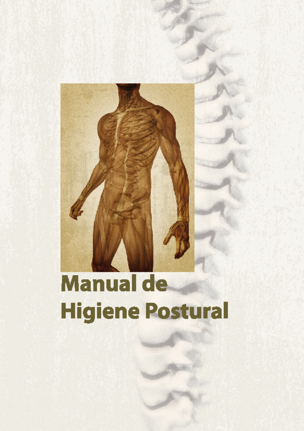 Guía Práctica de Higiene Postural y Anatomía de la Columna Vertebral ...