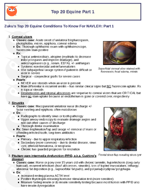Top 20 Equine Conditions: Study Guide for Veterinary Examination - Top ...