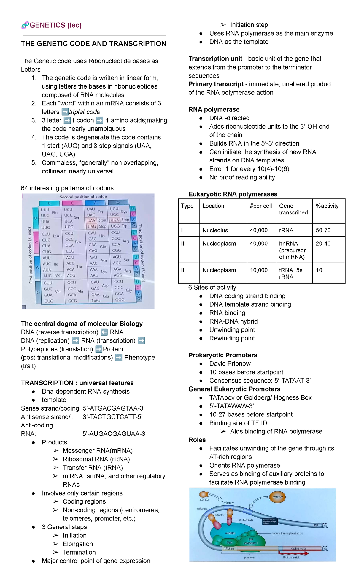 Genetics Lec Reviewer: Transcription and the Genetic Code - Studocu