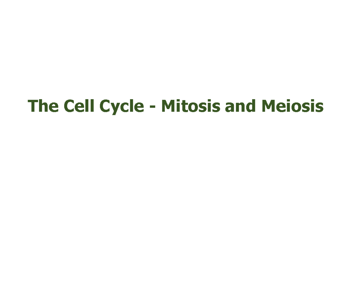 Chapter 4 Biology: The Cell Cycle, Mitosis, and Meiosis Lecture Notes ...