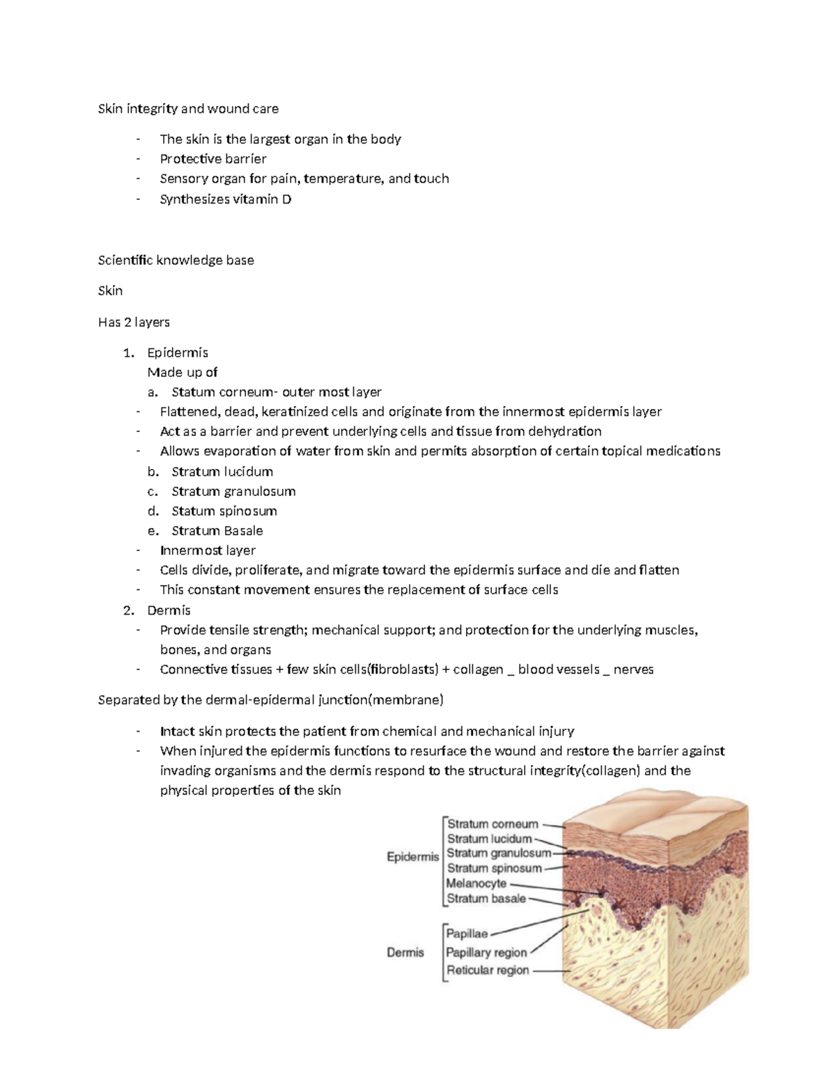 NUR 305: Skin Integrity and Wound Care Overview - Studocu