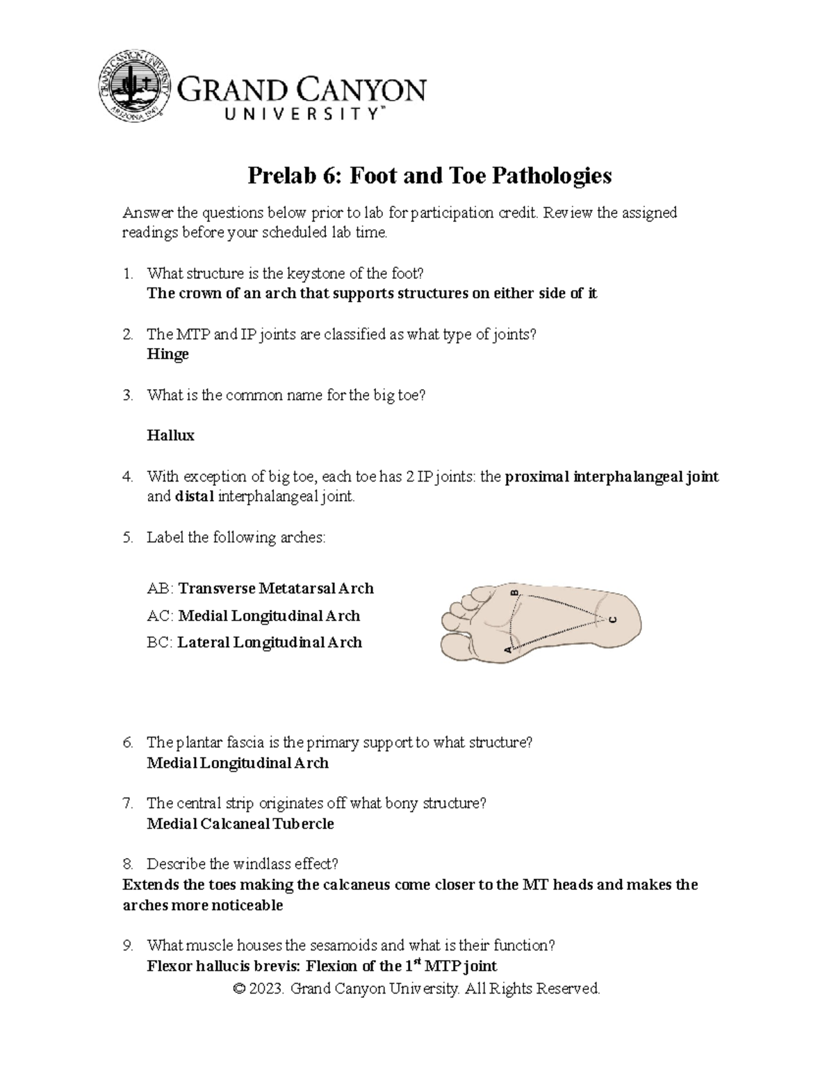 Prelab 6- FOOT AND TOE Pathologies - Prelab 6: Foot and Toe Pathologies ...